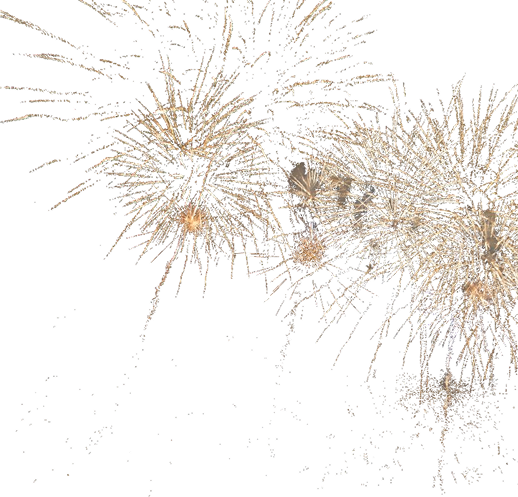 firework