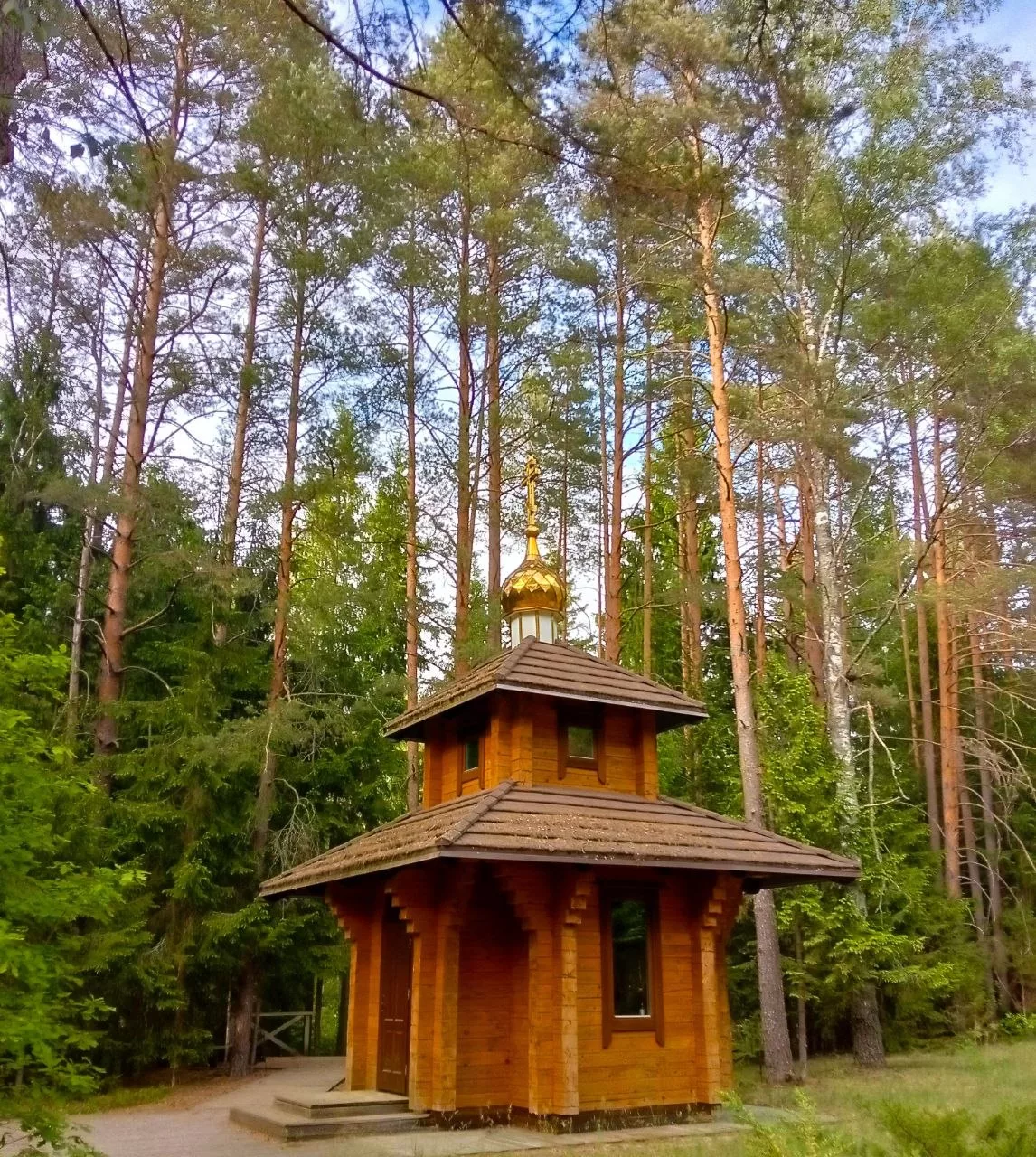 Купель в лесу
